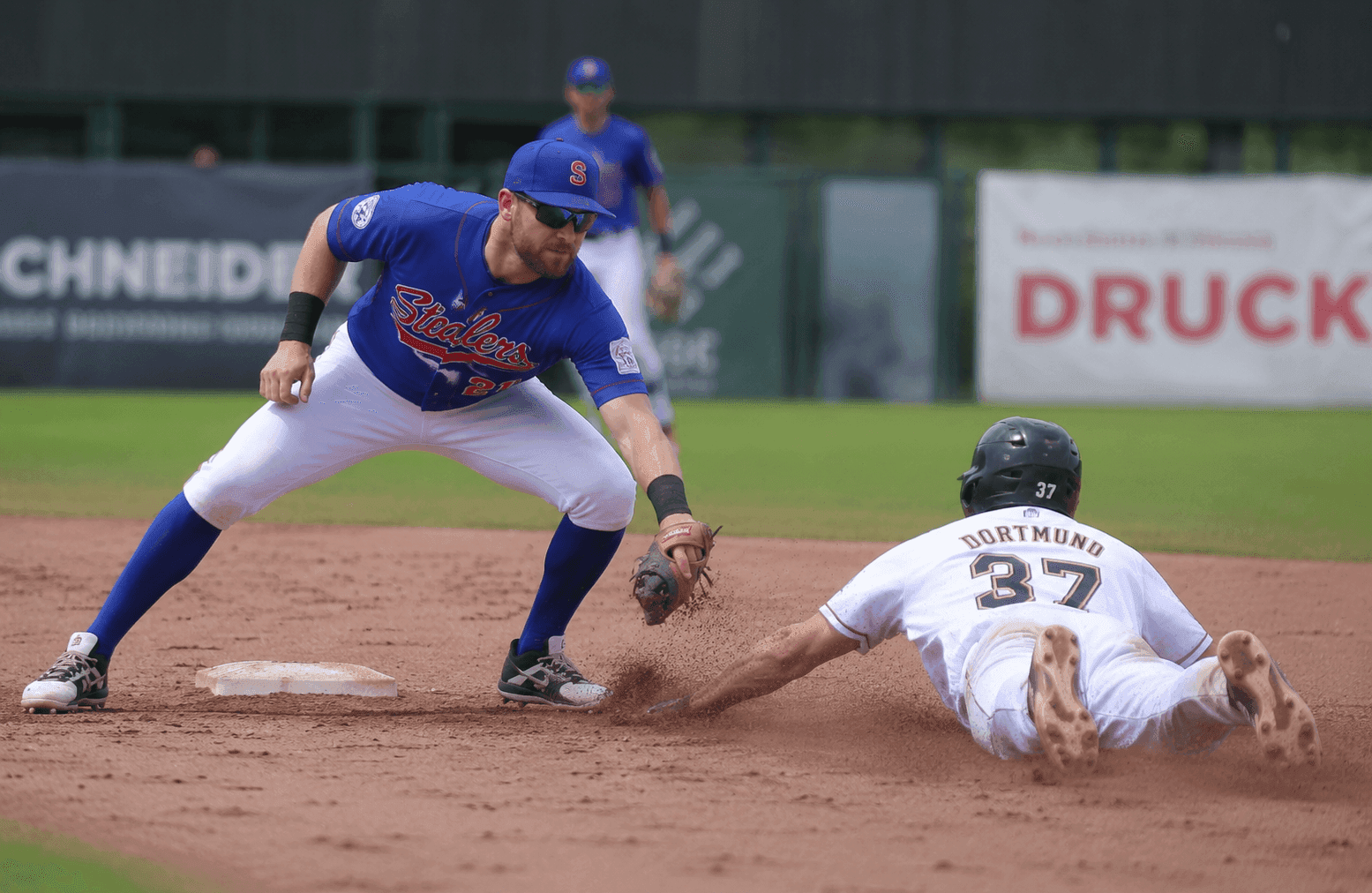 Hamburg Stealers vs Hünstetten Storm - Baseball Event - in Hamburg - on May 31, 2026 - by Local Sports