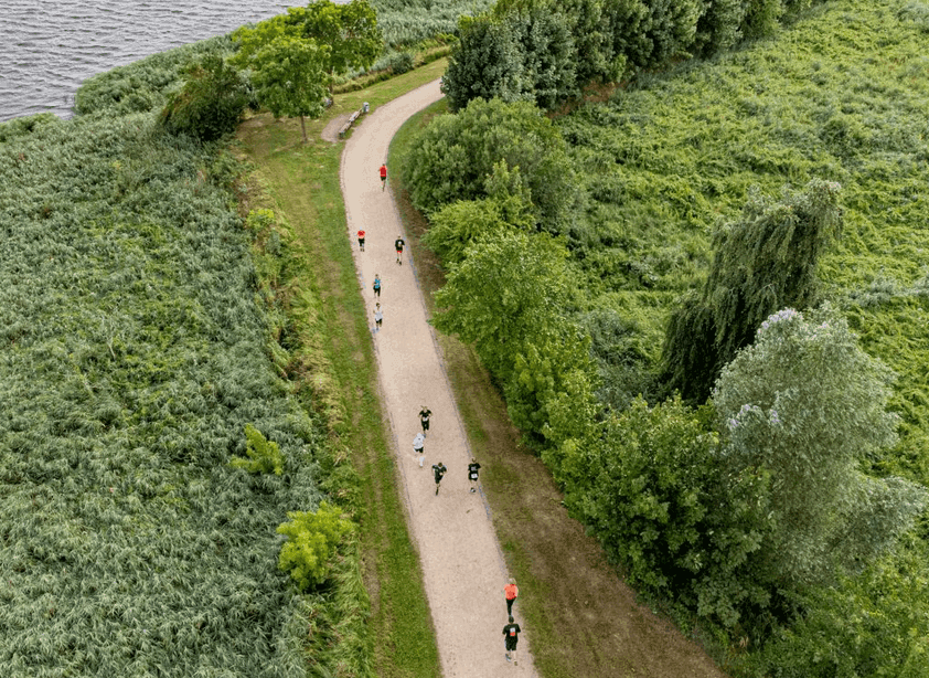 Marathonnacht Rostock - Laufsport Event - in Rostock - on Aug 01, 2026 - by Local Sports